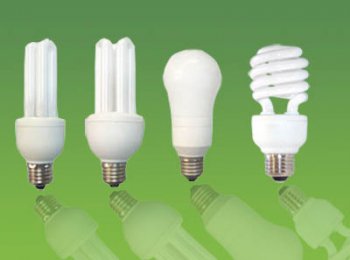 Energy Saving Bulbs